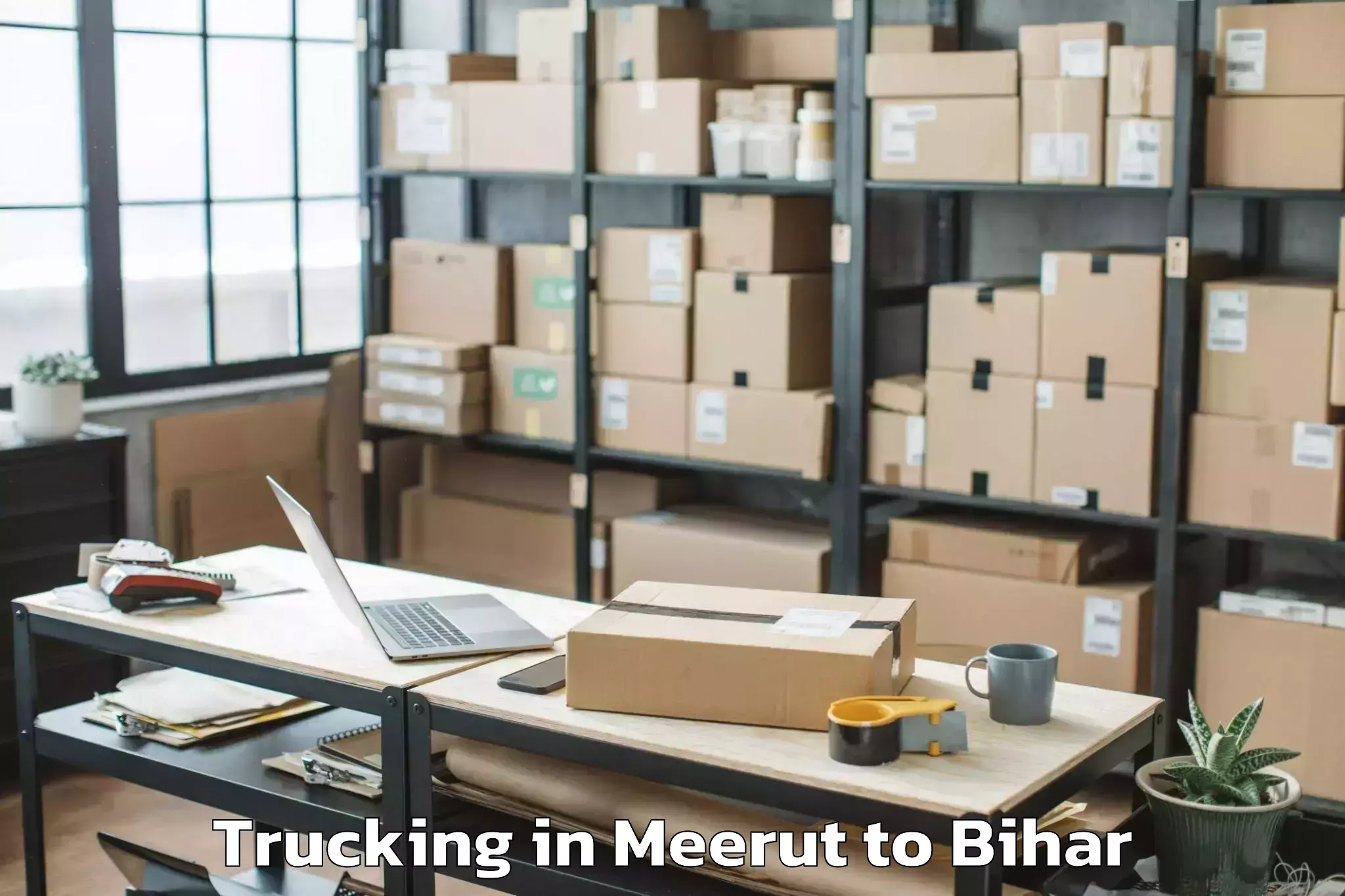 Easy Meerut to Hajipur Trucking Booking